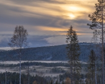 forrest_016