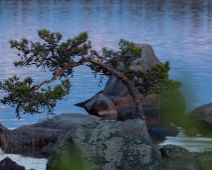 Natur_2020_5 The Lone Tree - Trädet har växt på stenen i sjön länge då jag minns det från min ungdom.