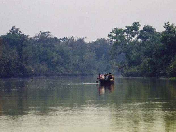 Sunderbans