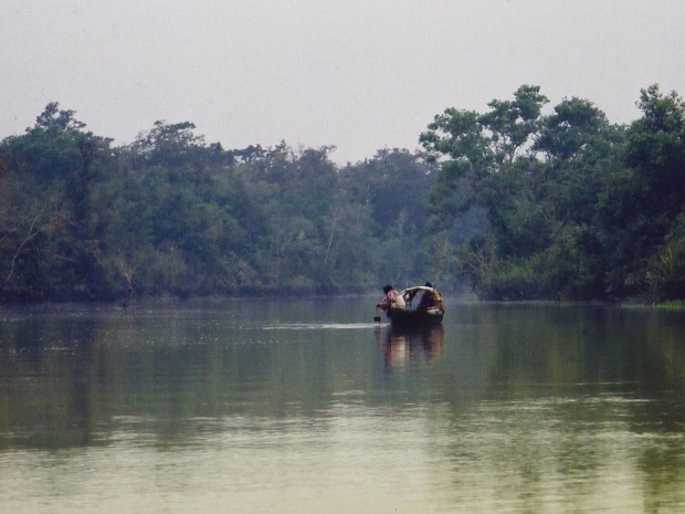 Sunderbans Bangladesh