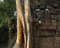 foresttempel-II-005