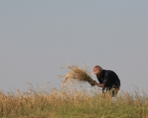 Odisha