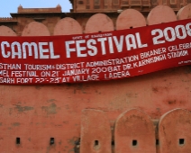 Bikaner - Camel Festival