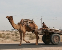 bikaner_006