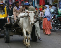 jodhpur_015