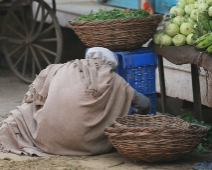 widows_of_vindravan_008