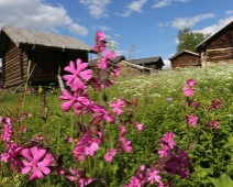 gammalby_003