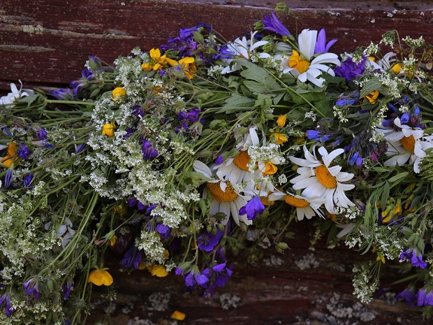Midsommar i Sundborn