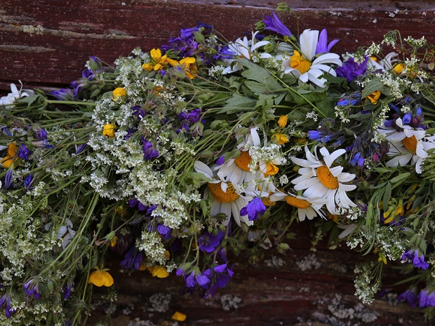 Midsommar i Sundborn Sweden