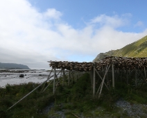 lofoten_023 Torkställning full med fiskhuvuden på tork