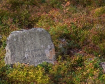 silvberg_006 Brukspatron Jonas Arnbergs gravsten finns bevarad i blåbärsriset på den muromgärdade ödekyrkogården.