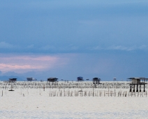 Sea of Sticks - Surat Thani