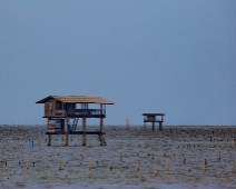 Sea_of_Sticks_029