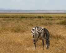 AmboseliNP_006
