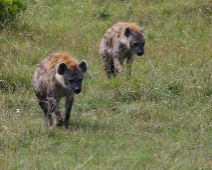 MasaiMaraGR_005 Masai Mara National Reserve