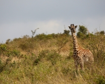 NairobiNP_016 Nairobi National Park