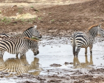 NairobiNP_020 Nairobi National Park