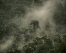 Kao Sok National Park, Thailand