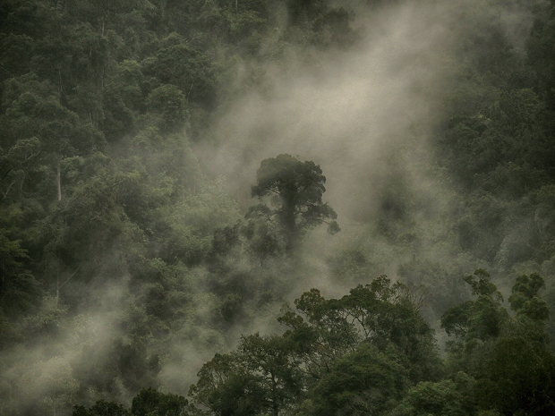 Khao Sok National Park Thailand