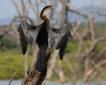 LakeBaringoNR_018