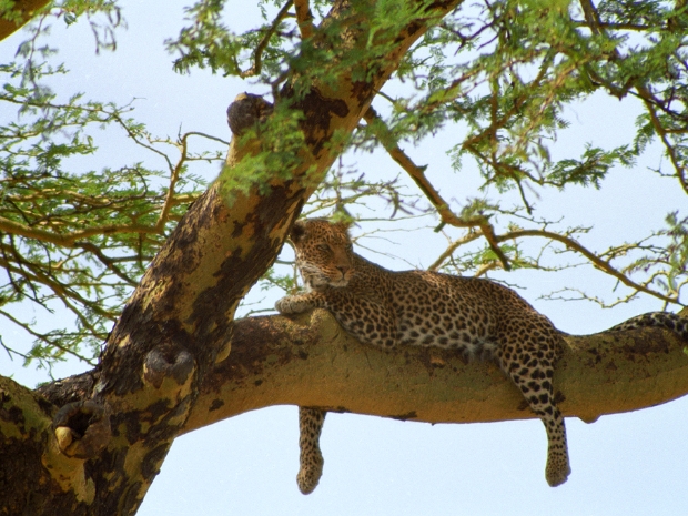 Serengeti National Park