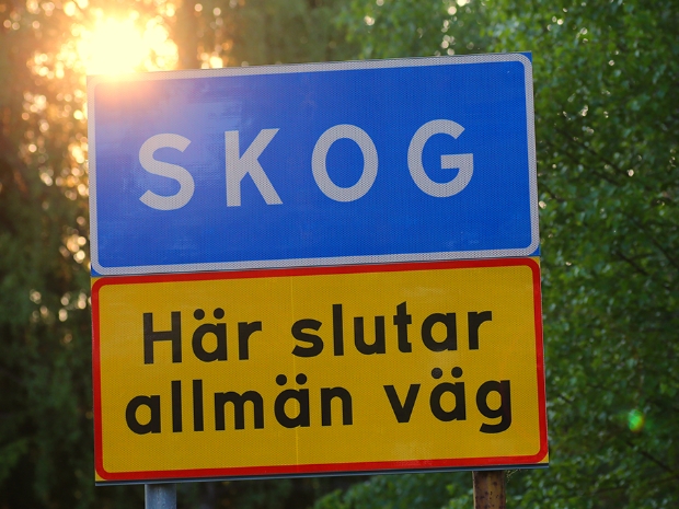 Skog Sweden