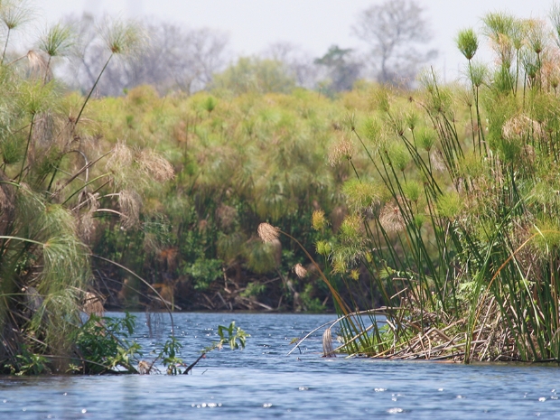Okavango Delta