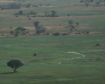 okivango_002